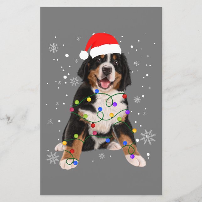 Bernese Mountain Dog Ilumina Fama de Natal (Frente)