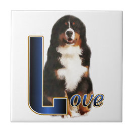 Bernese Mountain Dog Love