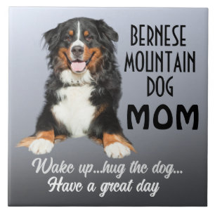 Bernese Mountain Dog Mãe