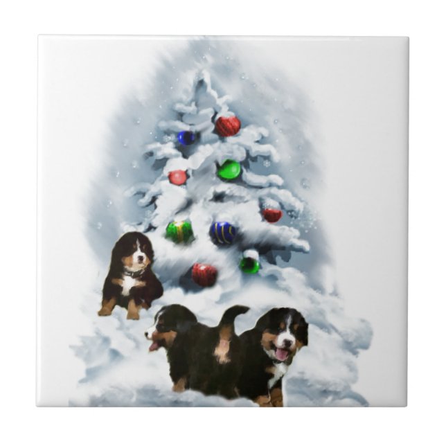 Bernese Mountain Dog Natal (Frente)