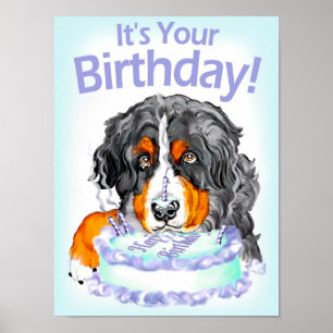 Bernese Mountain Dog Poster