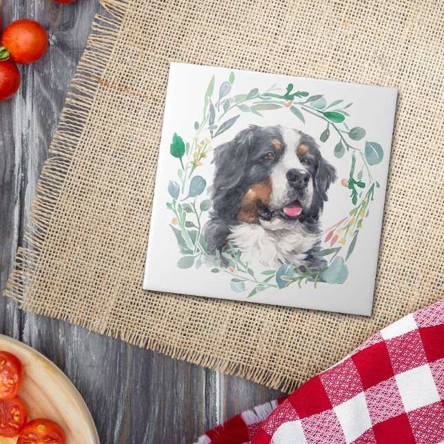 Bernese Mountain Dog Watercolor Wreath (Criador carregado)