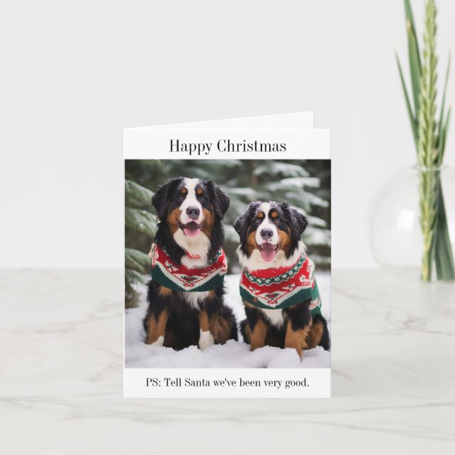 Bernese Mountain Dogs Cartão de Natal (Frente)