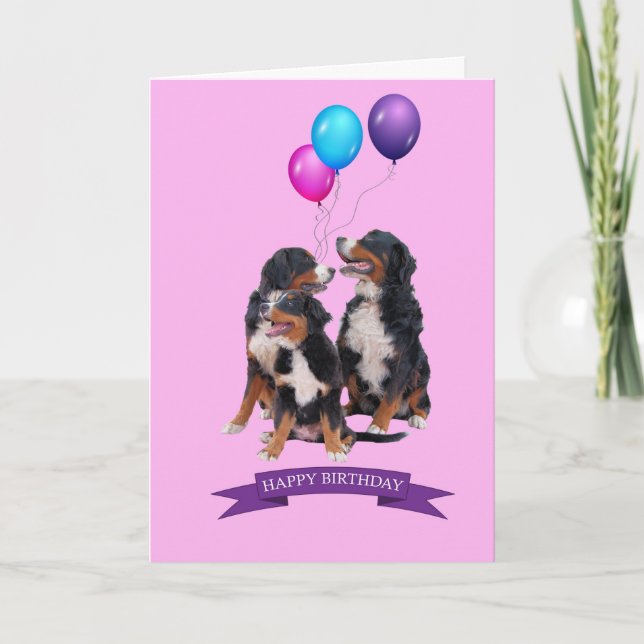 Bernese Mountain Dogs Feliz Cartão de Aniversário (Frente)