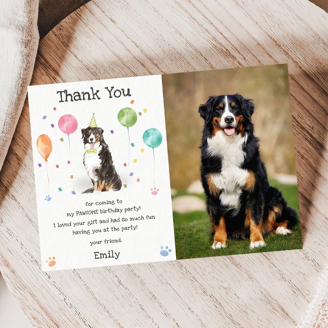 Bernese Mountain Puppy Dog Birthday Cartões de agr (Criador carregado)