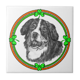 Bernese Mtn Dog St Patricks