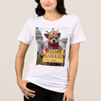Bernie Sanders é o meu herói