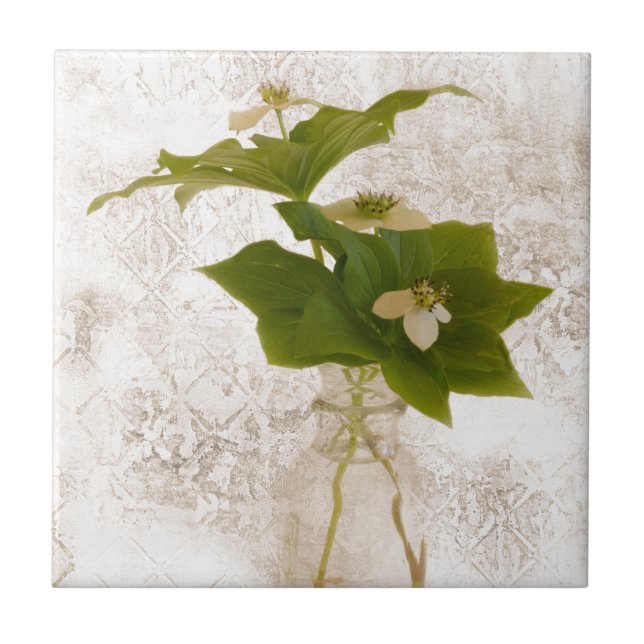 Berry De Dogwood Texturizado Em Jar Ainda Life (Frente)