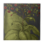 Besler Dramatique I<br><div class="desc">Floral</div>