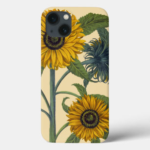 Besler: Girassol