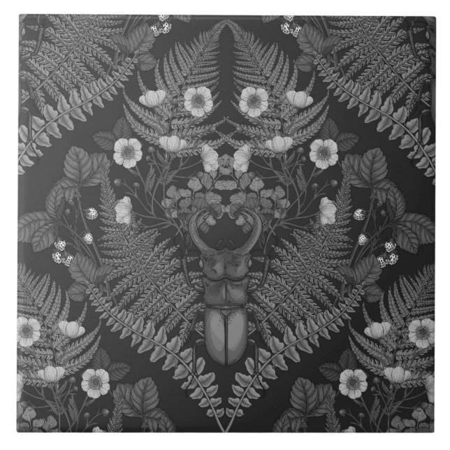 Besouro e samambaias, a preto e branco (Frente)