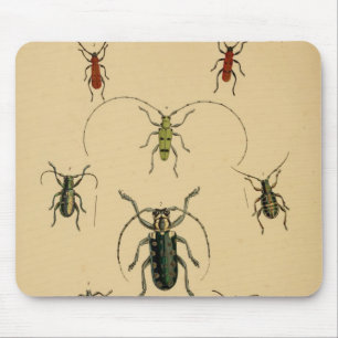 Besouro Mousepad do vintage
