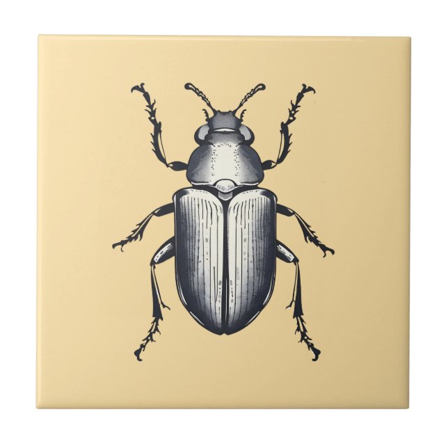 Besouro Negro (Frente)