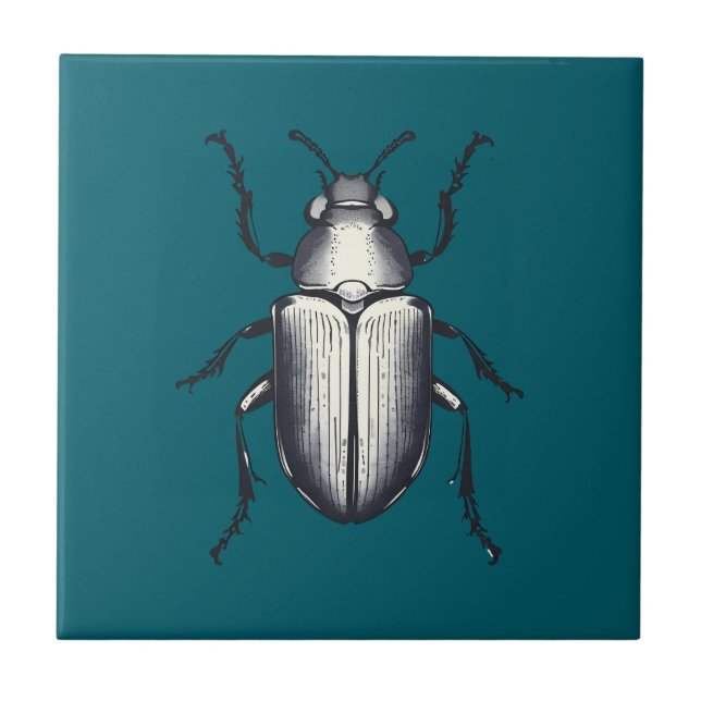 Besouro Negro (Frente)