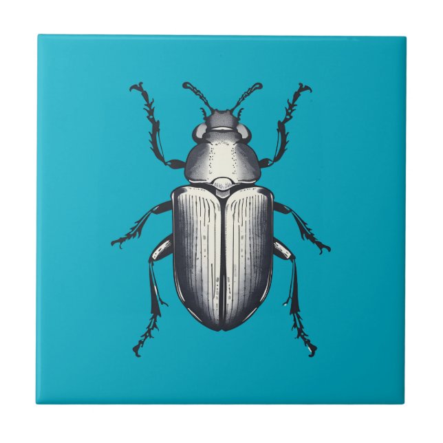 Besouro Negro (Frente)