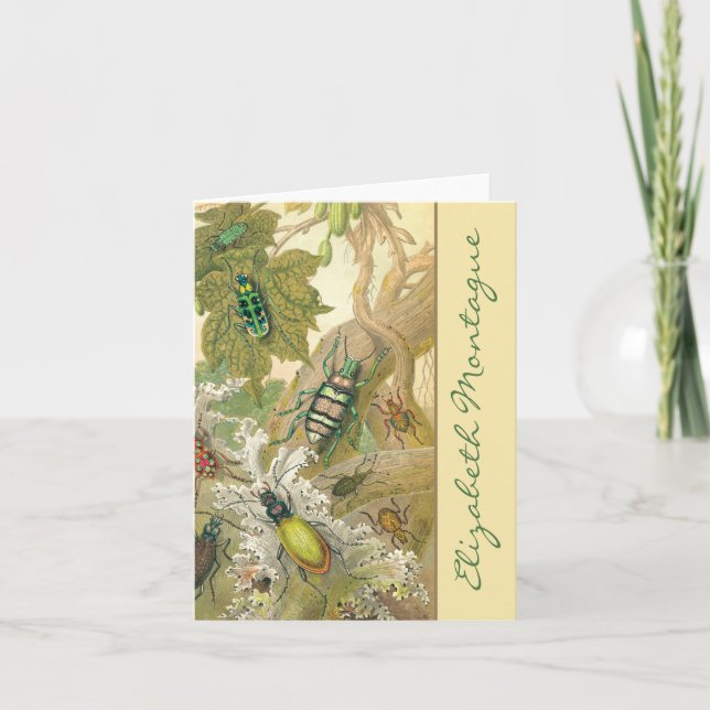 Besouros Britânicos Cartões de Nota Personalizados (Frente)