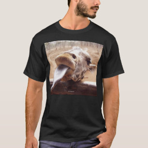 BEST SHIRTS - CAMISETAS ENGRAÇADAS - MENSWEAR - G