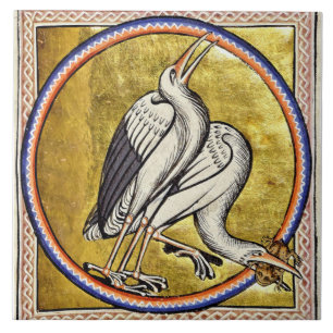 Bestiário de Aberdeen Medieval armazena Azulejo ce