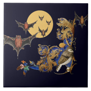 BESTIÁRIO MEDIEVAL ESQUISITO,AVE,MORCEGOS À NOITE
