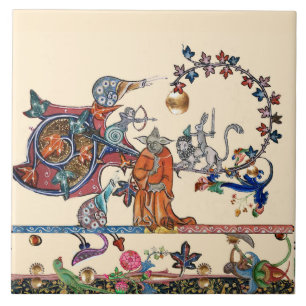 BESTIÁRIO MÉDIO ESTRANHO,MONSTER MONK Snail,Rabbit