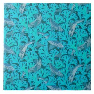 BESTIÁRIO MÉDIO ESTRANHO, PÁSSARO, BATATAS NA NOIT