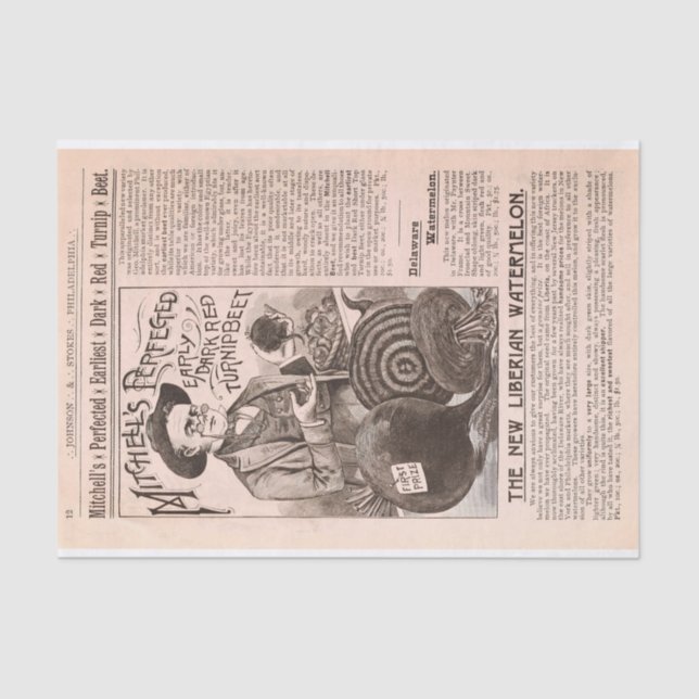 Beterrabas do catálogo da fazenda e papel antigos (Frente )