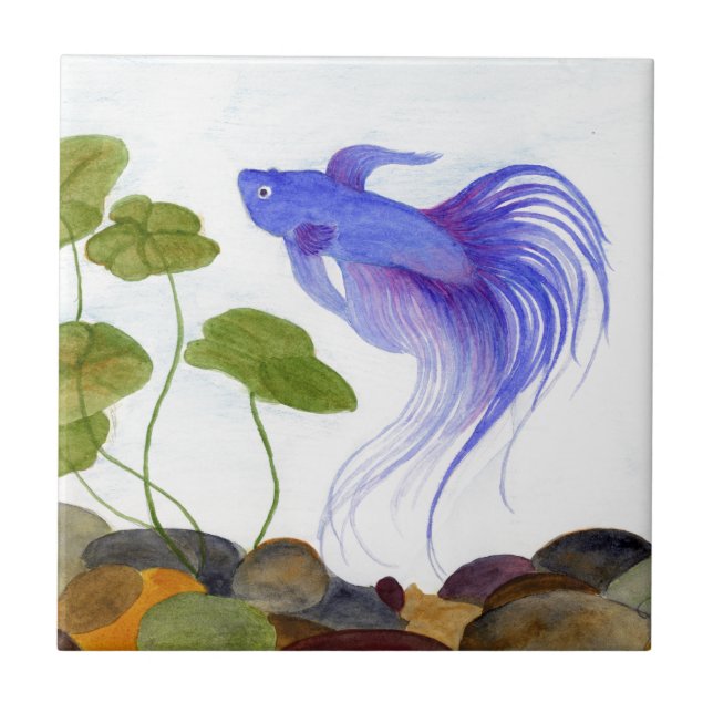 Betta Fish (Frente)