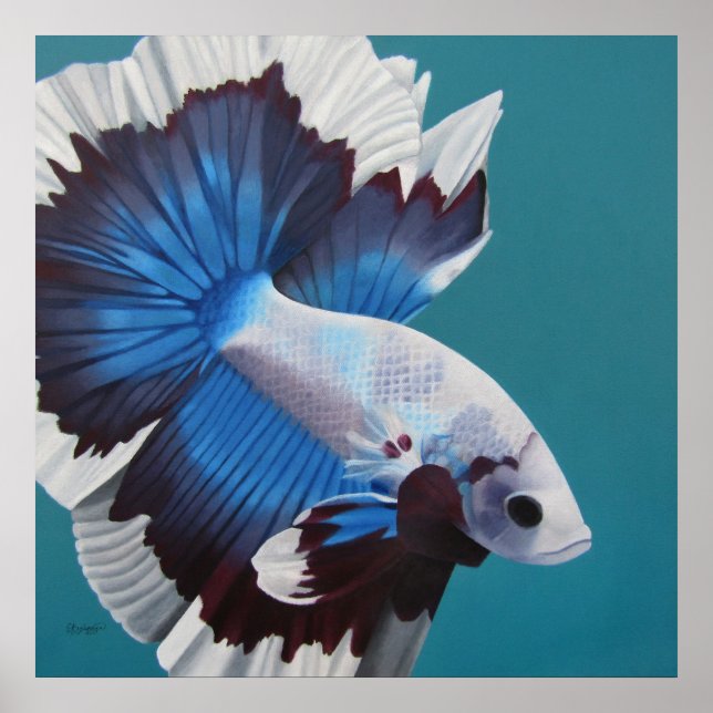 Betta Fish Poster (Frente)