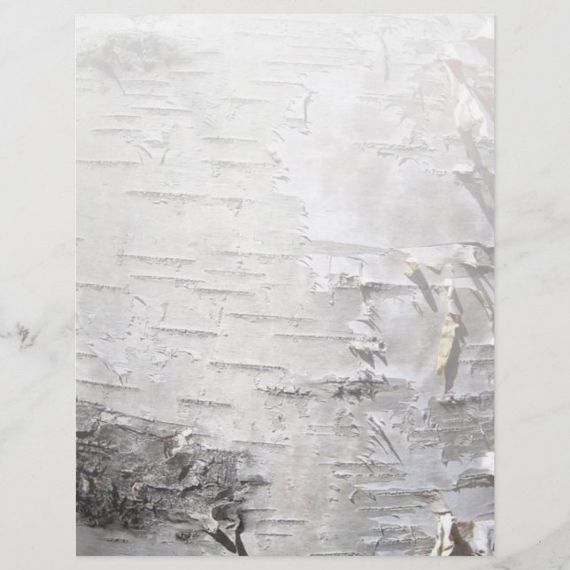 bétula branca latido da árvore quic rusta da boêmi (Frente)