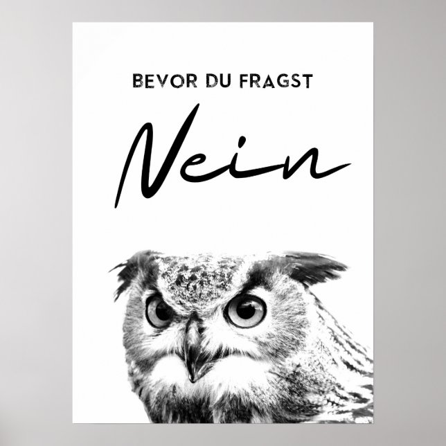 Bevor Du fragmenta Nein. Lustiges Eulen Poster (Frente)