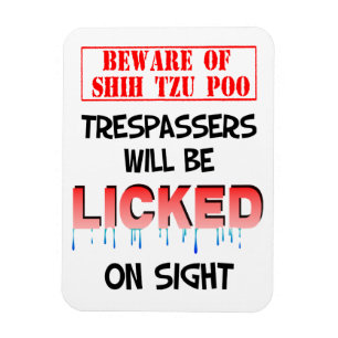 "Beware Shih o ímã de Tzu de Poo" (branco)