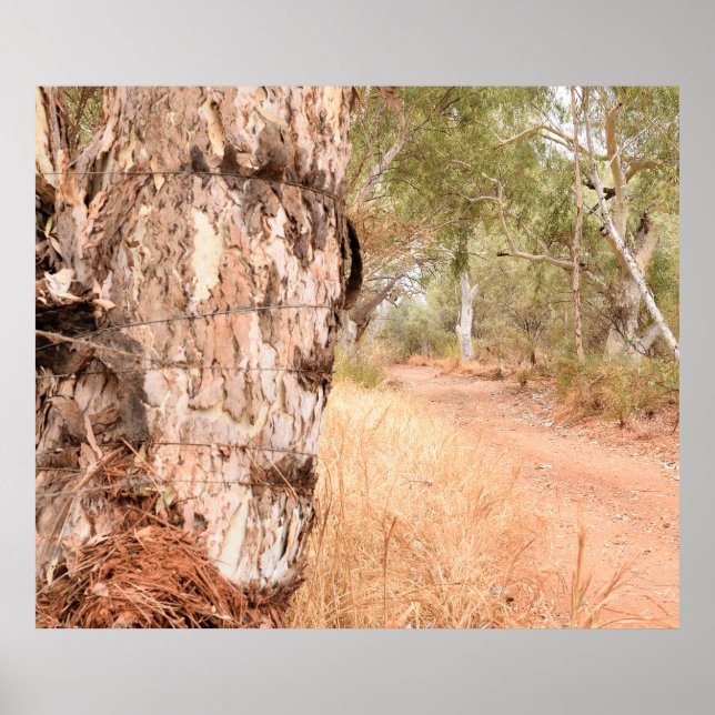 "Beyond the Old Stump" - Poster cênico Australiano (Frente)