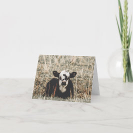 Bezerro de Primavera - 4" x 5.6" Cartão de Nota