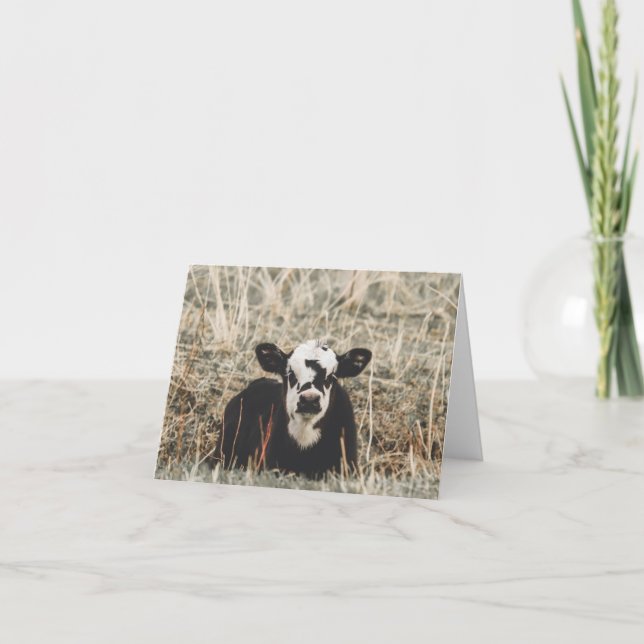 Bezerro de Primavera - 4" x 5.6" Cartão de Nota (Frente)