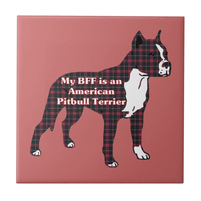 BFF American Pitbull Terrier (Frente)