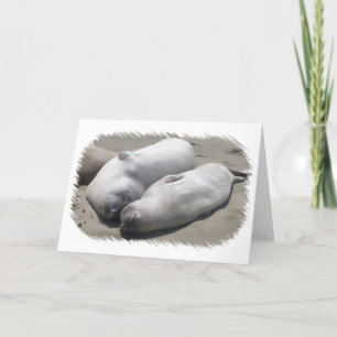 BFF - Melhor Cartão para Sempre