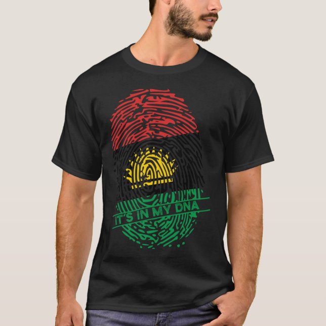 Biafran Flag Biafra Em Meu DNA Pullover Hoodie (Frente)