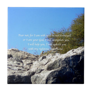 Bíblia Versa citação Inspiracional Isaiah 41:10