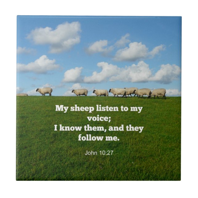 Bíblia verso, John 10:27, (Frente)
