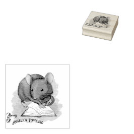 Biblioteca Do Carimbo De Tinta De Propriedade Do L