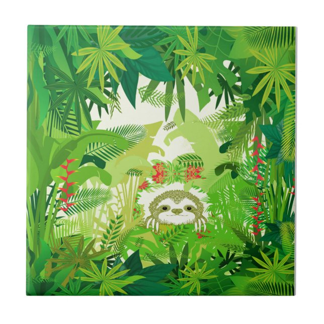 Bicho-preguiça da Selva Espiando (Frente)