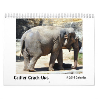 Bicho Rachadura-UPS, um calendário animal cómico