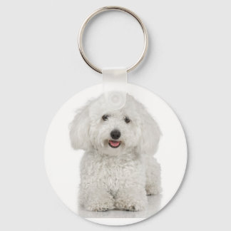 Bichon Frise Chaveiro