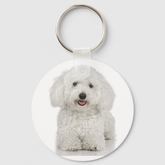 Bichon Frise Chaveiro (Frente)