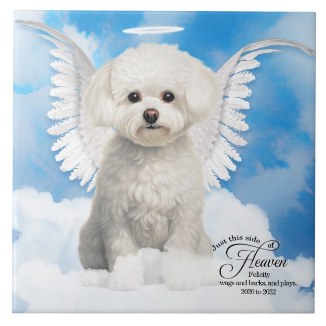 Bichon Frise Dog Angel Custom Pet Memorial (Frente)