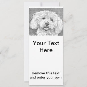 Bichon Frise Drawing