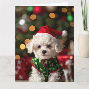 Bichon Frise Elf Puppy Cartão De Natal