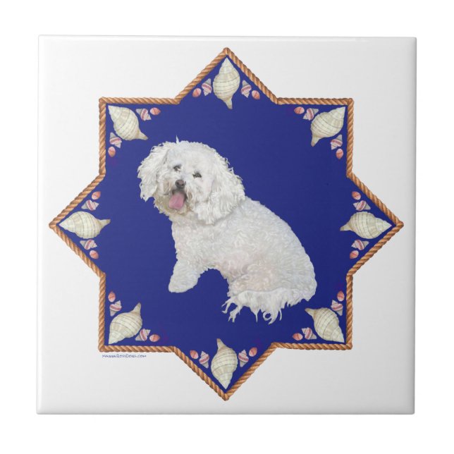 Bichon Frise Náutico (Frente)