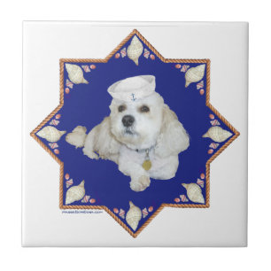 Bichon Frise Náutico