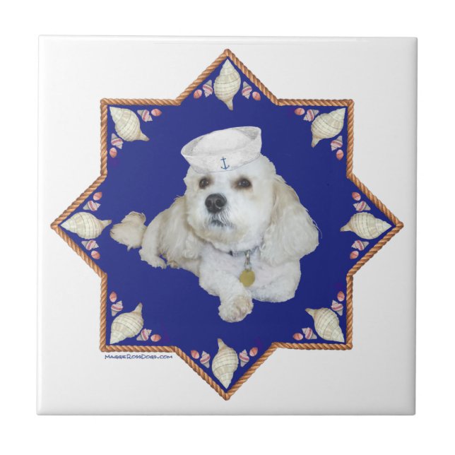 Bichon Frise Náutico (Frente)